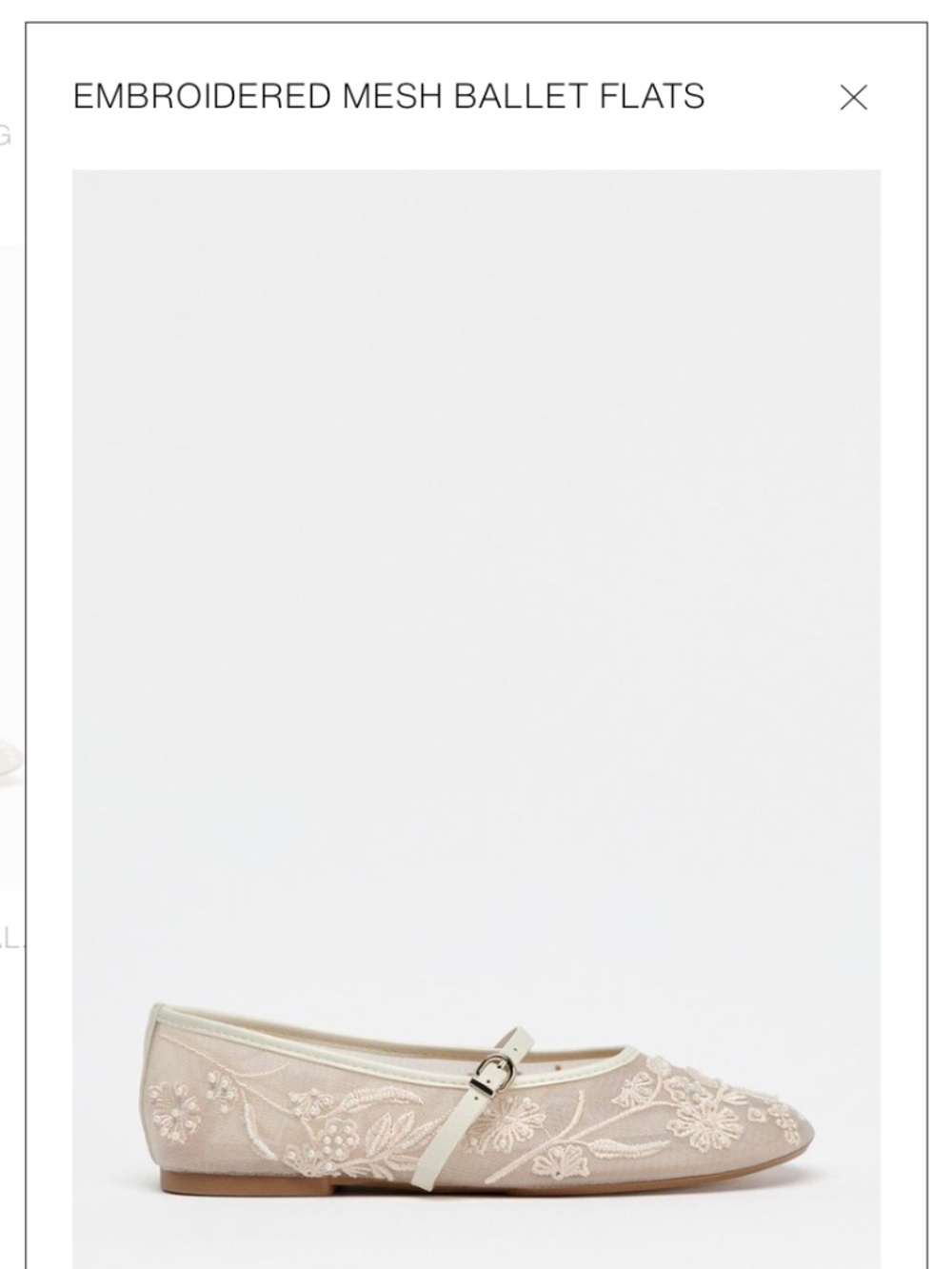 Zara Mesh Ballet Flats